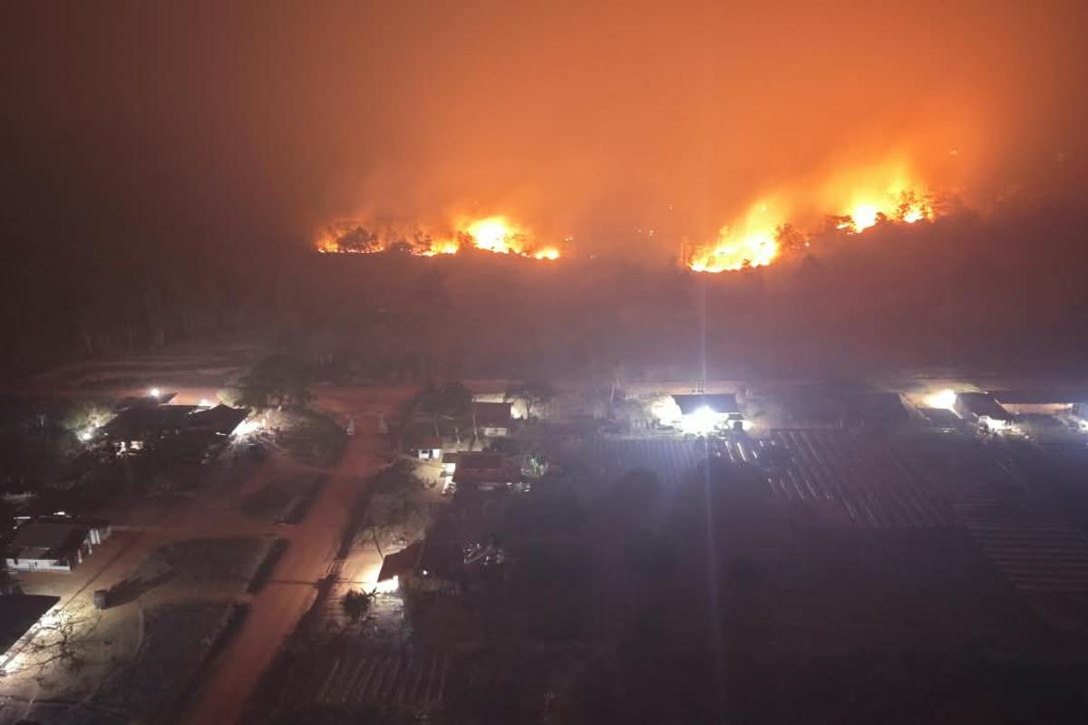 Darurat Karutla, Koalisi Masyarakat Sipil Desak Presiden Hentikan Proyek Strategis Nasional di Papua