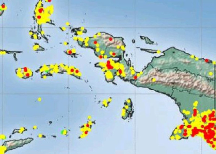 Hotspot Masih Tinggi, 4.108 Titik Panas Terdeteksi di Tanah Papua