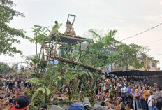 Festival Budaya Biak 2026 Sajikan 14.200 Porsi Kuliner, Ritual Adat Munara Fan Nanggi Jadi Sorotan