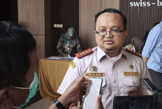 Kasus Demam Babi Afrika di Papua Selatan Berhasil Dikendalikan