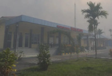 16 Bandara di Papua Terdampak Asap Karhutla, Ini Penjelasan Kemenhub