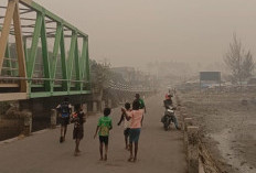 Kabut Asap Karhutla Makin Tebal, Pemkab Kaimana Berlakukan WFH bagi ASN hingga 16 Oktober