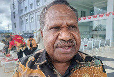 Pemprov Papua Pegunungan Bangun Koperasi Penampung Hasil Bumi Warga