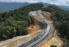Proyek Jalan Trans Papua Mamberamo–Elelim Ditinjau Ketat Hutama Karya