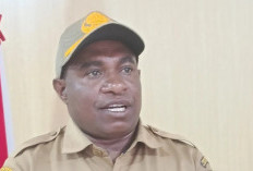 Kopi Asli Papua Pegunungan Tembus Australia, Pemprov Fasilitasi Ekspor