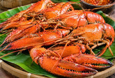 Udang Selingkuh, Kuliner Khas Wamena Papua Pegunungan yang Unik dan Menggugah Selera