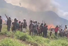 Diduga Korsleting Listrik, Tujuh Kios di Pasar Kota Baru Puncak Jaya Ludes Terbakar
