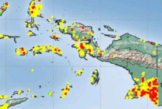 Hotspot Masih Tinggi, 4.108 Titik Panas Terdeteksi di Tanah Papua