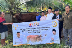 Anin Bakrie dan M. Kadafi Tebar Hewan Kurban di Provinsi Lampung