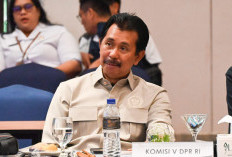 Asap Karhutla Ancam Pasokan Pangan Papua Pegunungan, DPR Minta Pemerintah Bergerak Cepat